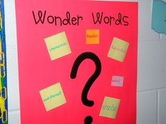 Wonder Words